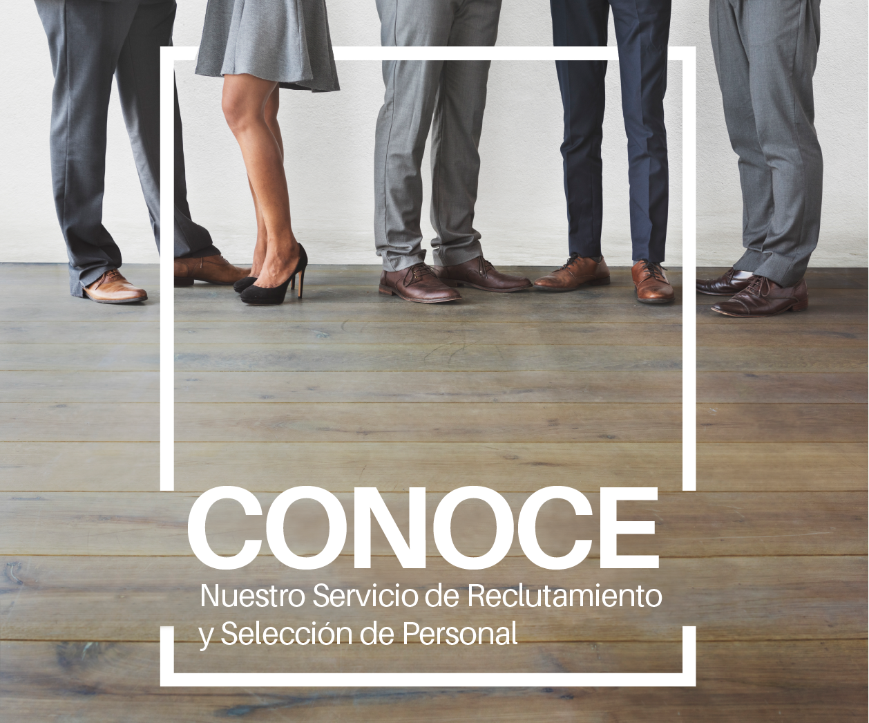 Equipo profesional de reclutamiento de Esprezza